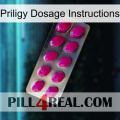 Priligy Dosage Instructions 09